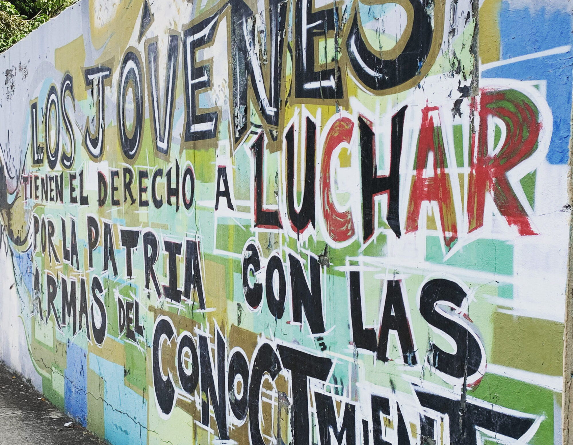 Los jovenes tienen derecho a luchar por la patria con las armas del conociemiento
